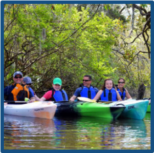 Wadboo Creek Blackwater Swamp tour near Charleston-history, wildlife, flowers, rice fields