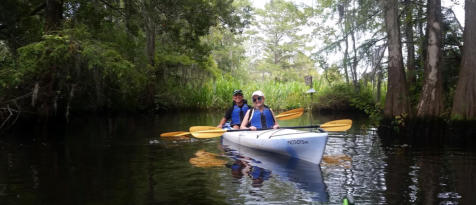 Kayak Charleston and Summerville-Scenic Ashley River, Cooper River-nature wildlife tours