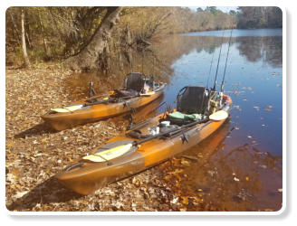 Blueway Adventures provides Wilderness Systems fishing kayaks on kayak fishing charters