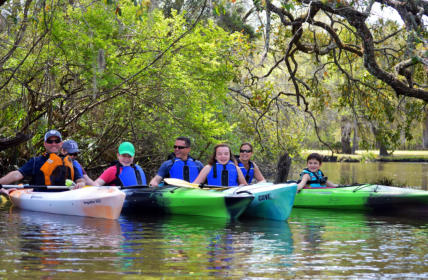 Kayak Scenic Ashley River Summerville-Blackwater Tour with grand Live Oaks, Bald Eagles, marsh grasses