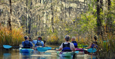 Most popular kayaking tours Charleston, Summerville, Santee-swamp tours, river tours, lake marion, lake Moultrie