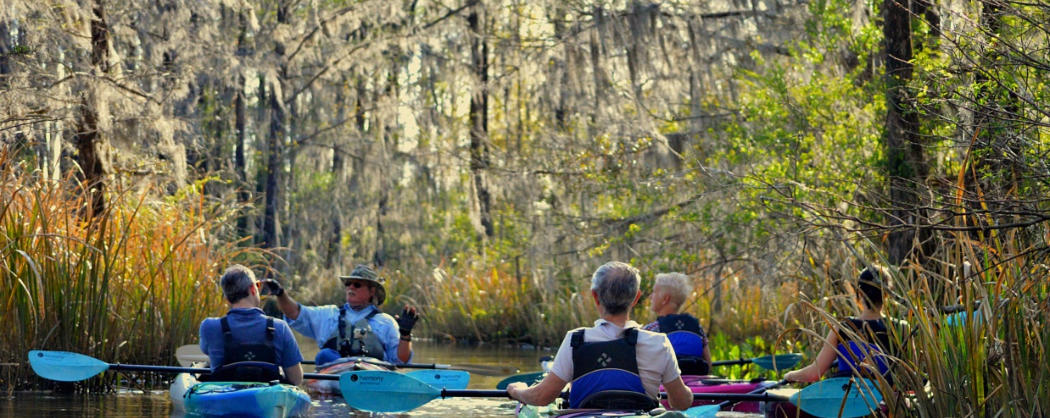 Most popular kayaking tours Charleston, Summerville, Santee-swamp tours, river tours, lake marion, lake Moultrie